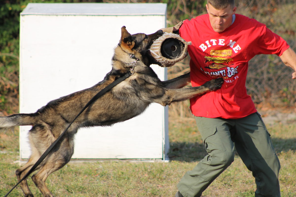 Photo Gallery - Arminleggan® - Police K9 Training Equipment